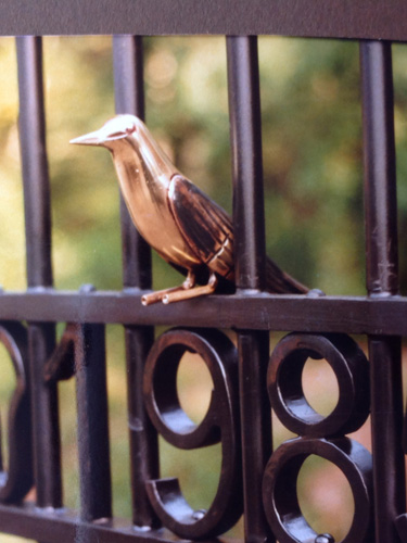 Vogeltje op hek